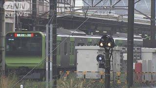 JR山手線車内で窃盗疑い 被害者がスマホ見ていた数秒間の犯行か(2024年11月2日)