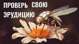 Интересные тесты на эрудицию № 61  #тестнаэрудицию  #эрудиция