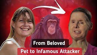 Chimpanzee Attack | The Story of Travis The Chimp and Charla Nash