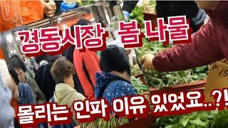 봄나물 모두 다 나왔습니다. 와글 와글~ 북쩍 북쩍 나물사기 최고조 입니다.