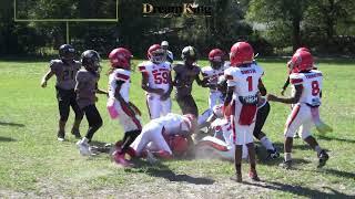 GMWAA Red Devils 10u vs Daytona Sun Devils 10u