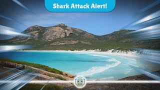 Shark Attack Suspected as Surfer Goes Missing Near Esperance