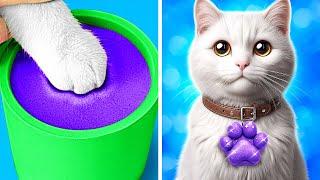 Homeless Cat Makeover  *Useful Tips and Tricks for Pet Owners*