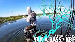 YAB #5 / KBF TRAIL SERIES I - The California Delta (Day 1)