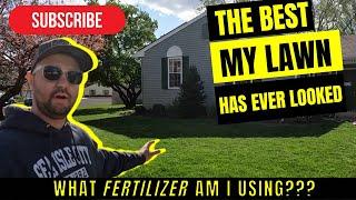 The BEST My LAWN has EVER LOOKED, What Fertilizer is the BEST? #shoplocal #bestfertilizer