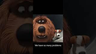 When someone at work says we have a problem. | Secret Life of Pets #shorts #funny #secretlifeofpets