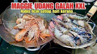 Ribuan kilo MAGGIE UDANG GALAH SIZE XXL habis terjual setiap hari di sebabkan.....