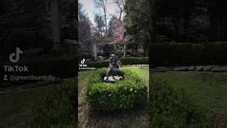 30 Second Milan Garden Tour | #creativegarden #greenthumb