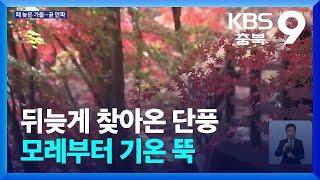 뒤늦게 찾아온 단풍…모레부터 기온 뚝 / KBS  2024.11.15.