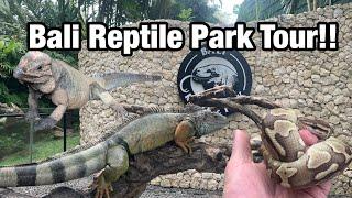 BALI REPTILE PARK TOUR!!!