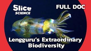 The Unique Aquatic Biodiversity of Lengguru, Papua New Guinea | SLICE SCIENCE | FULL DOCUMENTARY