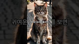 길고양이를 잘못 만지면 죽을 수도 있다? #과학 #지식 #잡지식  #호기심 #엉뚱 #엉뚱한과학