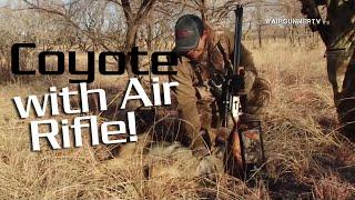 Airgun Hunting Coyote + Field Target 2014 Ep 1 : American Airgunner