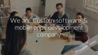 Custom Software development services in lucknow India & USA