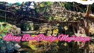 Trip to Meghalaya #livingrootbridge#shilong#travelvlog #traveldiaries  | Vlog-13