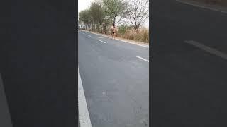 army running motivation #army #shortvideo #viral #status