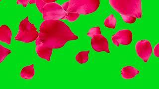 no copyright flower green screen