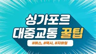 싱가포르에서 꼭 알아야할 대중교통 이용 꿀팁! (버스, 지하철, 택시 모음)