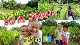 FARM TOUR AND WARRIOR DANCE IN ISLAND OF PALAU #micronesia #pacificisland