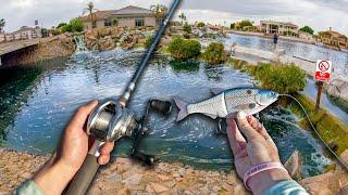 Pond Hopping Urban Private Ditches For Aggressive Bass — Casting Concrete PT3