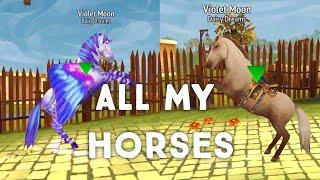 All My Horses In Horse Riding Tales