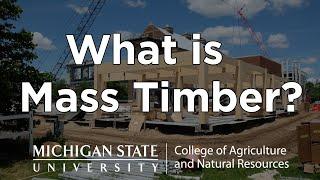 What is Mass Timber?