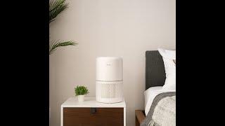 Levoit Core 300 Air Purifier Review (Performance Test) | Shop-4U