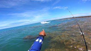 ERA PARA SER UMA PESCARIA DE VARINHA DE MÃO, O cardume de PEIXE GRANDE mudou tudo !!! ROCK FISHING.