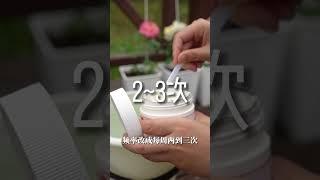 月季全年用肥详解【天狼说月季】