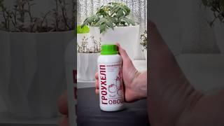 Контейнерное выращивание овощей под фитолампами #сад #экодачник #урожай