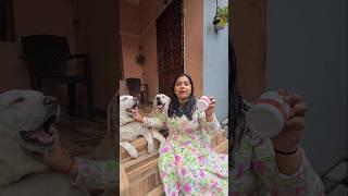 ഇതാണ് ആ രഹസ്യം #labrador #dog #viralvideo