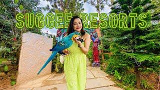 Suggee Resort Bangalore | Weekend getaway from Bangalore | Adventure Activities