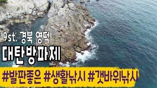 구석진 곳이라 눈치 볼 필요없이 텐트치고 생활낚시, 갯바위 낚시 모두 가능한 곳 [영덕 대탄방파제]