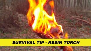 Survival tip - Resin Torch - Pochodnia z żywicy #survival #survivaltips #fire