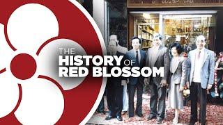 The Red Blossom Story