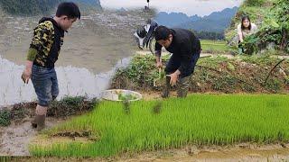 Father and son work in the fields and live in a simple mountain village