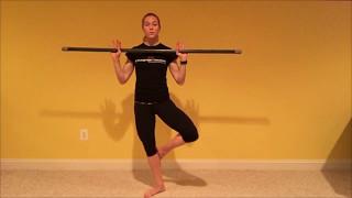 ActivMotion Bar Dance Exercises