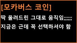 [모카버스 코인] 지금 딱 이 자리에서는 성향별로 무조건 선택을 하셔야만 하는 자리입니다