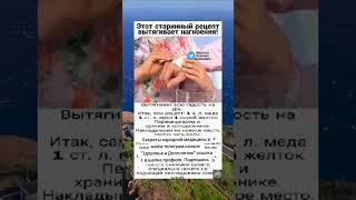 этот старинный рецепт вытягивает нагноения #здоров #медицина #здоровье #долголетие #народныерецепты