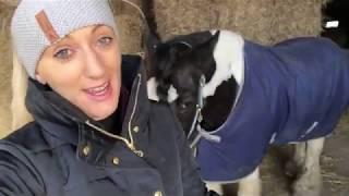 Riding Remington's Vlog | Horse&Rider – February 2020