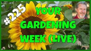 Evaluating Your Garden Season (Q&A)