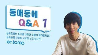 동애등에 사육 이렇게 시작해보세요 | #동애등에Q&A 에피소드1