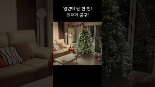 무슨 소리! 한 번 구입하면 평생 써야죠! / 품질까지 완벽한 크리스마스 트리 강추 #shorts
