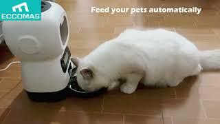 Eccomas Automatic Pet Food Feeder