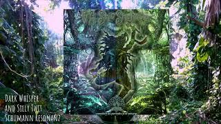 Dark Whisper and Silly Twit - Schumann Resonanz