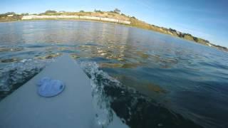 Great White Shark Encounter Surfing in Santa Cruz, CA