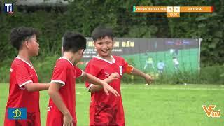 HIGHLIGHT U11 YOUNG BUFALOES FC VS U11 VIETGOAL | GIẢI BÓNG ĐÁ U11 ĐỘNG LỰC STAR LEAGUE 2024 | VFTV