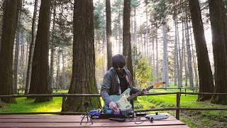 Ambient Guitar Tones || Outdoor Music || Sunset Drone In The Forest