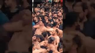 Bawa Syed Ali Raza Badshah in Sehwan || HaqwilayatAli as ||