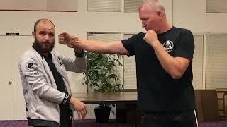  Hung Gar, Gung Ji Fook Fu: Fighting Technique “3 Stars Strike Like Black Tiger Claws"